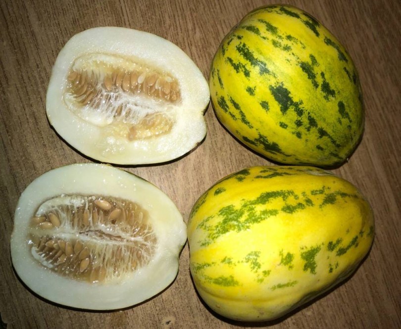 Alma sárgadinnye, Cucumis melo, dinnye, sárgadinnye